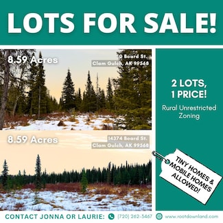 14374 Board St, Clam Gulch, AK 99568