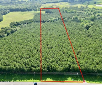 9 Us Hwy 231 S, Brundidge, AL 36010