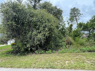 0 SW Tbd 146 Loop, Ocala, FL 34473