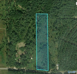 4 County Road 14 Unit 38, Brdn Springs, AL 36272