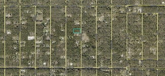 XX Weatherby Ave, Hastings, FL 32145