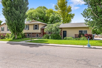 462 E 370 N, Delta, UT 84624