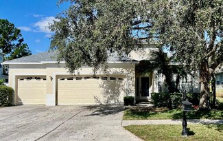 3319 Chessington Dr, Land O Lakes, FL 34638