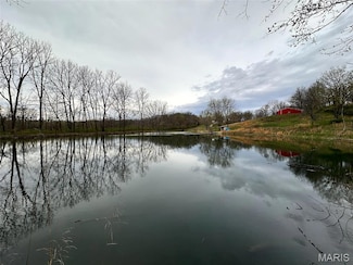 602 Haller Dr, Pocahontas, IL 62275