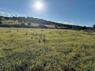 665 U S 380, Capitan, NM 88316