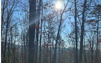 LT 12 Spring Ridge Trail, Morganton, GA 30560