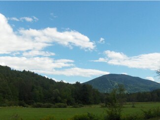 2134 Brownsville Hartland Rd, West Windsor, VT 05089