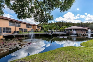 14810 Par Club Cir, Tampa, FL 33618