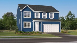 Wren, Joliet, IL 60431