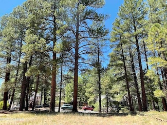 837 W Coy Dr, Flagstaff, AZ 86001