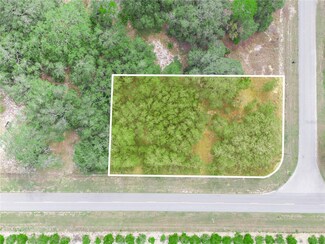 2859 W County Line Rd, Avon Park, FL 33825