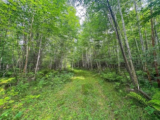 93.89A on Kundinger Rd, Eisenstein, WI 54552