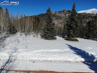12775 S Highway 67 View, Cripple Creek, CO 80813