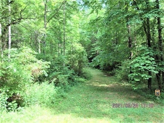 L17 Panther Spring Rd, Murphy, NC 28906