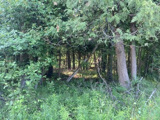 V/L E Washington Rd, Township of Branch, MI 49402