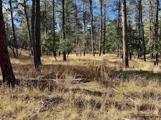 lot29&30 Homewood Dr, Timberon, NM 88350