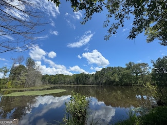 353 Parham Rd, Warm Springs, GA 31816