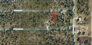 TBA Skylark Ln, Rainbow Lakes Estates, FL 34431