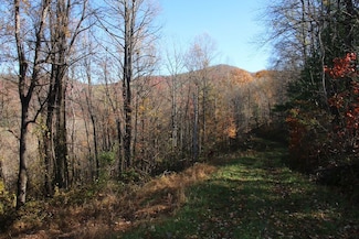 0 Overlook Mountain Rd Unit LotWP001, Elkton, VA 22827