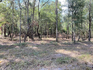 0 Private Road 2055, Hull, TX 77564