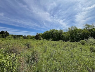 1 Vl Fairview Road Lot Unit WP001, Farmersville Station, NY 14060