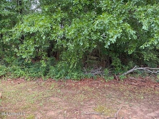 000 W Norwood Old Enoch Rd, Florence, MS 39073