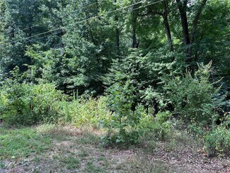 0 Tia Ct, Trinity, NC 27263