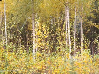 2740 N Gunflint Trail Dr, Meadow Lakes, AK 99654