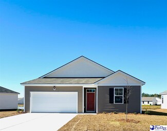 2004 Eastpark Drive (Kerry B Lot 225), Darlington, SC 29532