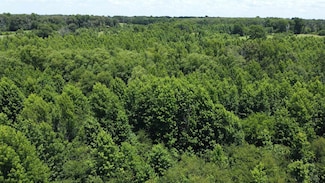 401 County Road 2920, Golden, TX 75410