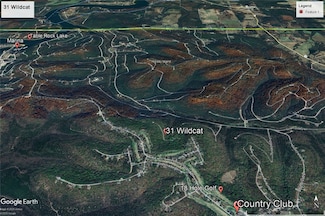 31 Wildcat Ln, Holiday Island, AR 72631