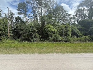 5670 Nutwood Ave, Bunnell, FL 32110