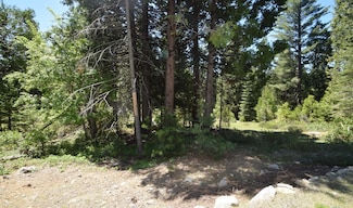 42084 Tourmaline Ln Unit 102, Shaver Lake, CA 93664
