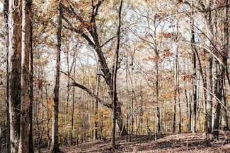 0 Greensboro Rd Unit CL343963, Crawfordville, GA 30631