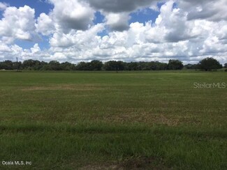 0 W Highway 316, Citra, FL 32113