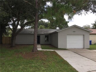1030 Bridlewood Way, Brandon, FL 33511