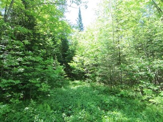 10 Acres Papoose Lake Rd, Winchester, WI 54557