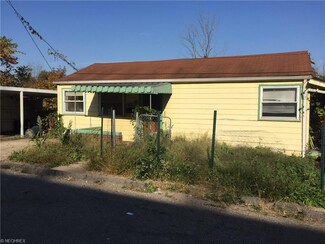 1110 Minellen Dr, Bridgeport, OH 43912