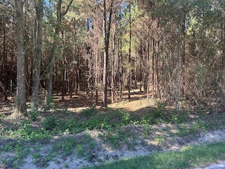 0 Pine St, Sandersville, MS 39440