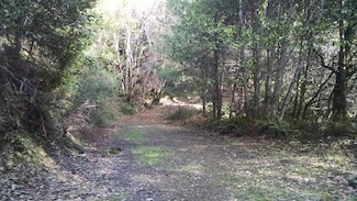100 Moore Ranch Rd, Weitchpec, CA 95546