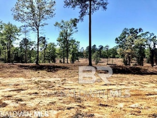 0 W 7th St Unit 388473, Bay Minette, AL 36507