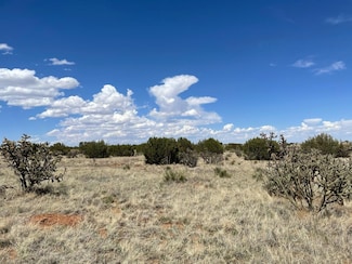 0 Lots 10 & 1 Unit 992570, Manzano, NM 87016