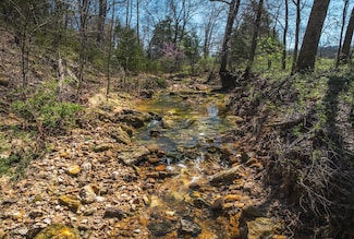 0 Rye Creek Rd Unit Lot WP001 23245341, Lonedell, MO 63060