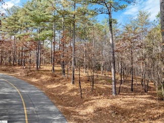 311 Golden Bear Dr, Sunset, SC 29685