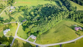 Tbd Scenic Elk Garden Dr, Lebanon, VA 24266