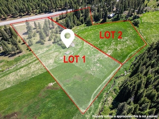XXXX Washington 211 Unit Lot 1, Newport, WA 99156