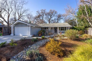 1565 Silacci Dr, Campbell, CA 95008