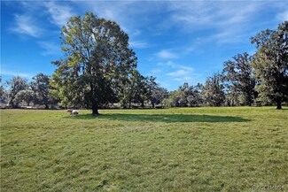 15555 NW Hwy 464b, Morriston, FL 32668
