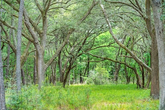 Lot 3 King Rail Ln, Edisto Island, SC 29438