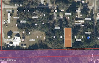 1011 Beech St, Palatka, FL 32177